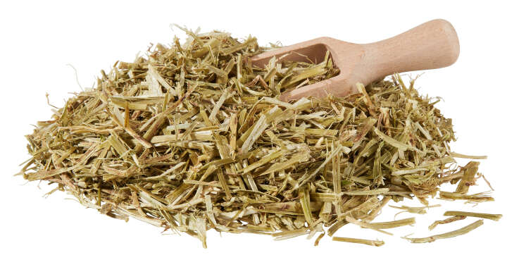 BERKEL FUTTER Luzernestängel